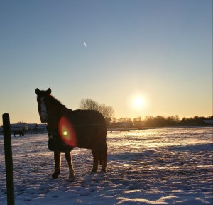 20160117_152604_Richtone(HDR)