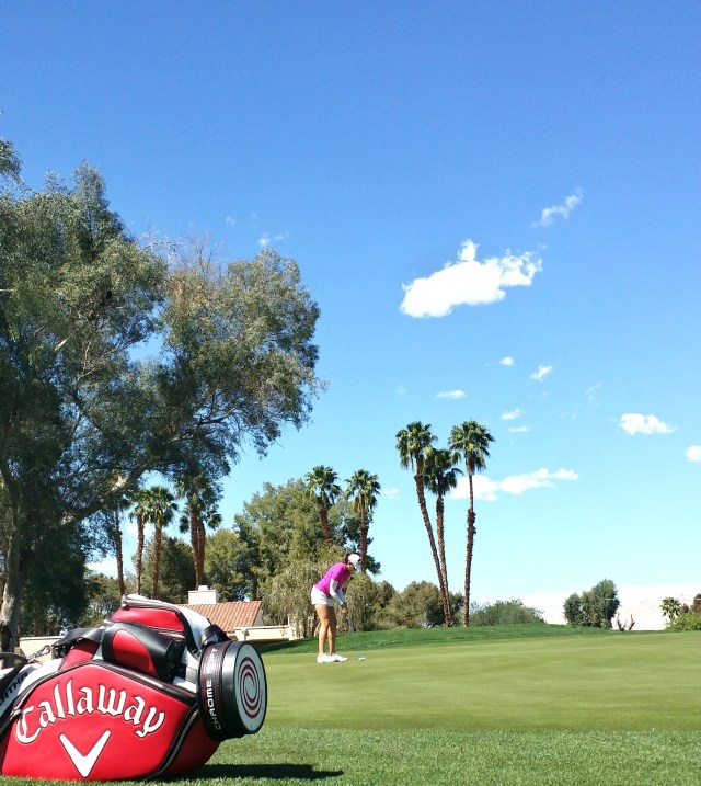 20160331_142834_Richtone(HDR)