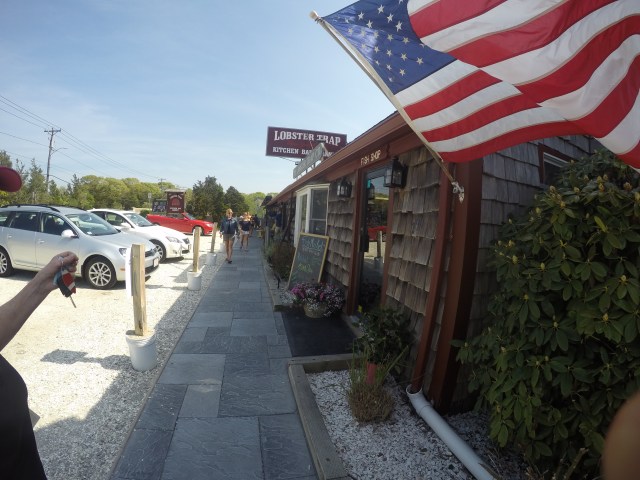 DCIM100GOPROGOPR0181.