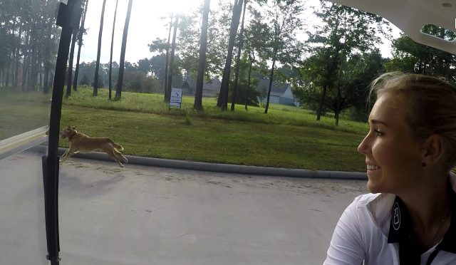 screenshot_2016-10-04-16-13-13